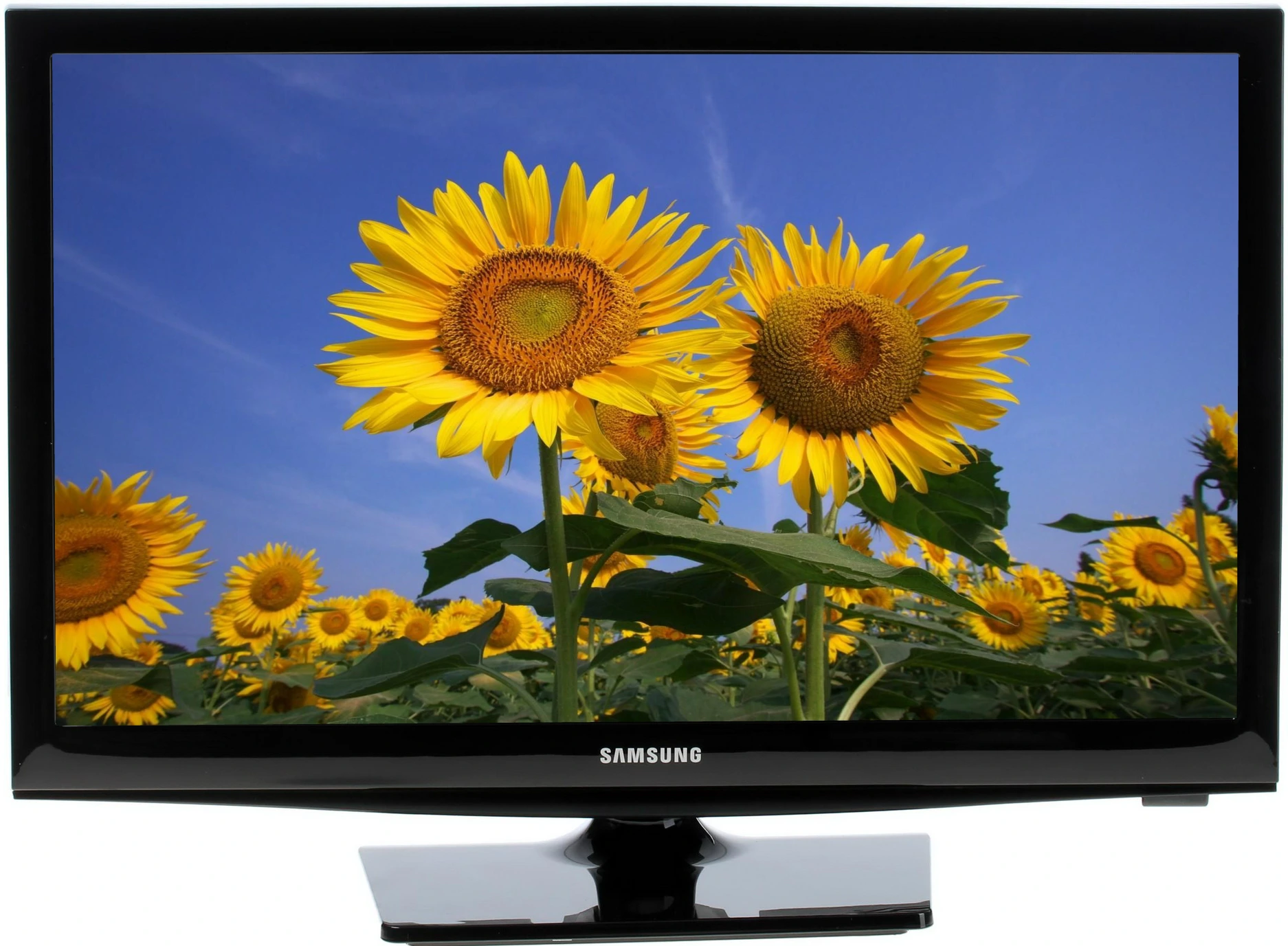 Samsung UE19H4000